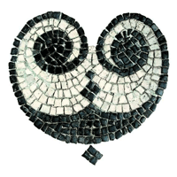 Domus del Chirurgo